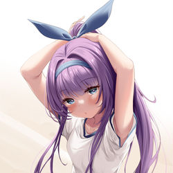 This is a pixiv picture whose title is 体操服タシュケント.