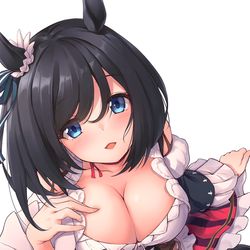 This is a pixiv picture whose title is エイシンフラッシュ.