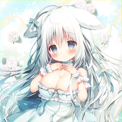 This is a pixiv picture whose title is 双葉シャロちゃん.