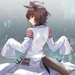 This is a pixiv picture whose title is 馬物語（？！）.