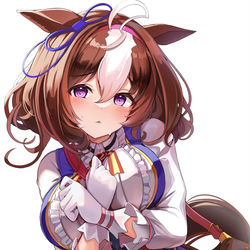 This is a pixiv picture whose title is メイショウドトウ.