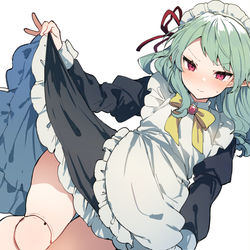 This is a pixiv picture whose title is 毎日メイド描いた.