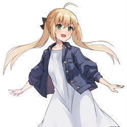 This is a pixiv picture whose title is アルトリア・キャスターちゃん.