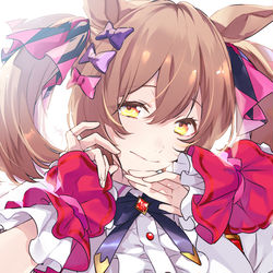 This is a pixiv picture whose title is 隼.