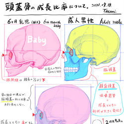 This is a pixiv picture whose title is 頭蓋骨の成長比率（2次キャラのデフォルメ論）.