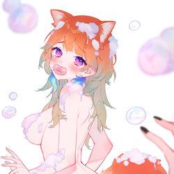 This is a pixiv picture whose title is お風呂が苦手な猫鳥おしゃぶりちゃんとお風呂が得意な猫サメちゃん.