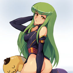 This is a pixiv picture whose title is C.C..