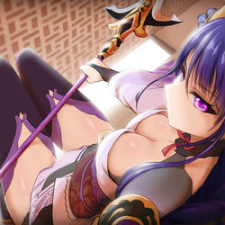 This is a pixiv picture whose title is 雷電將軍 長槍?.