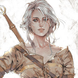 This is a pixiv picture whose title is The Witcher.