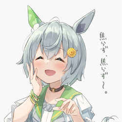 This is a pixiv picture whose title is セイウンスカイ.