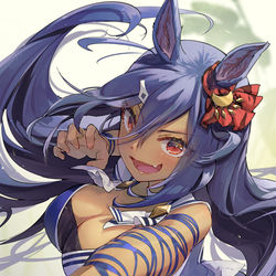 This is a pixiv picture whose title is ヒシアマゾンだ！.