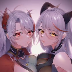 This is a pixiv picture whose title is 望まれし貌.