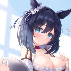 This is a pixiv picture whose title is エイシンフラッシュ.