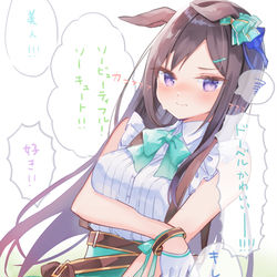 This is a pixiv picture whose title is メジロドーベルちゃんをほめまくりたい.