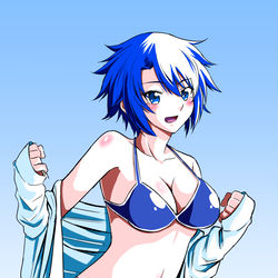 This is a pixiv picture whose title is 蒼崎翼　水着.
