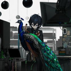 This is a pixiv picture whose title is 孔雀.