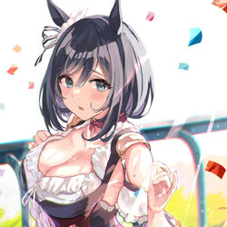 This is a pixiv picture whose title is エイシンフラッシュ✨.