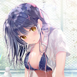 This is a pixiv picture whose title is 夏が来た！.