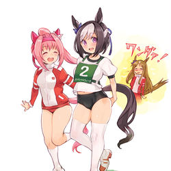 This is a pixiv picture whose title is 体操服実装記念（GⅢ・芝2000ｍ）.