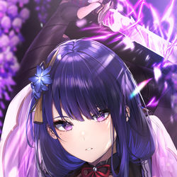 This is a pixiv picture whose title is THE RAIDEN SHOGUN.
