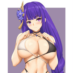 This is a pixiv picture whose title is 雷電将軍.