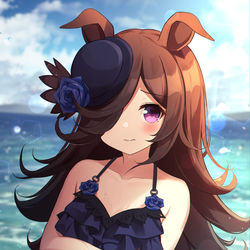 This is a pixiv picture whose title is ライスの水着姿💦（妄想）.