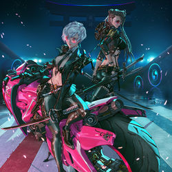 This is a pixiv picture whose title is Onna Bugeisha -.