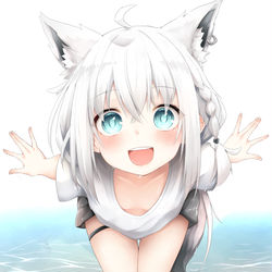 This is a pixiv picture whose title is こんこーん！白上だﾖｩ!.