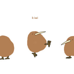 This is a pixiv picture whose title is 基本的にポジティブシンキングなキーウィさん.