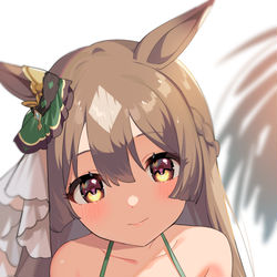 This is a pixiv picture whose title is ﾓﾁﾓﾁ　サトノダイヤモンド.