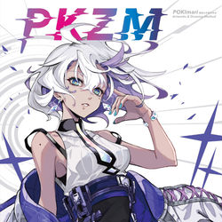 This is a pixiv picture whose title is 初画集『PKZM POKImari画集&作画思考法 』.