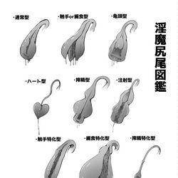 This is a pixiv picture whose title is 淫魔尻尾図鑑.