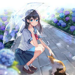 This is a pixiv picture whose title is ☔🐈.