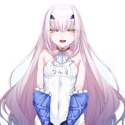 This is a pixiv picture whose title is 水着妖精ランス.