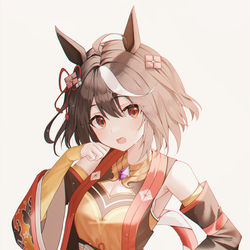 This is a pixiv picture whose title is キタサンブラック.