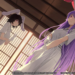 This is a pixiv picture whose title is 名医の助手たち.