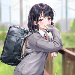 This is a pixiv picture whose title is study.