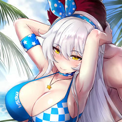 This is a pixiv picture whose title is Honkai: HoV swimsuit.