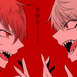 This is a pixiv picture whose title is 革命を.