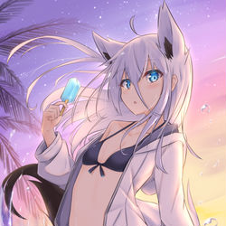 This is a pixiv picture whose title is 夏のハクアちゃん.