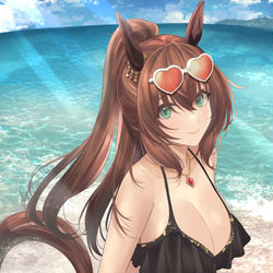 This is a pixiv picture whose title is マルゼンスキー.