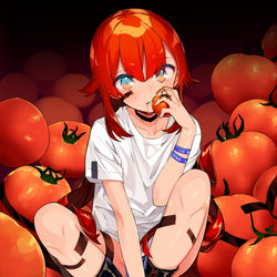 This is a pixiv picture whose title is トマト.