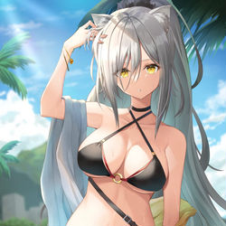 This is a pixiv picture whose title is 水着シュヴァルツさん.