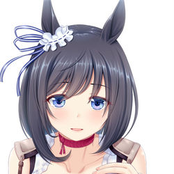 This is a pixiv picture whose title is エイシンフラッシュ.