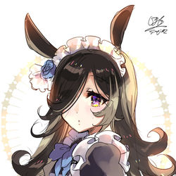 This is a pixiv picture whose title is メイドライス.