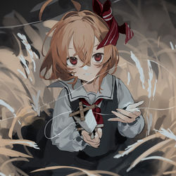 This is a pixiv picture whose title is ルーミア.