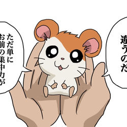 This is a pixiv picture whose title is そうだよね、ハム太郎！.
