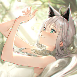 This is a pixiv picture whose title is ウェディングフブキング.