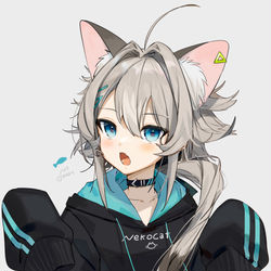 This is a pixiv picture whose title is ねこ.
