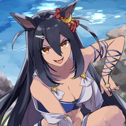 This is a pixiv picture whose title is ヒシアマ姐さん.
